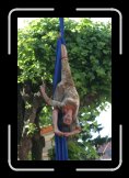 london circus 006 * 2336 x 3504 * (3.43MB)